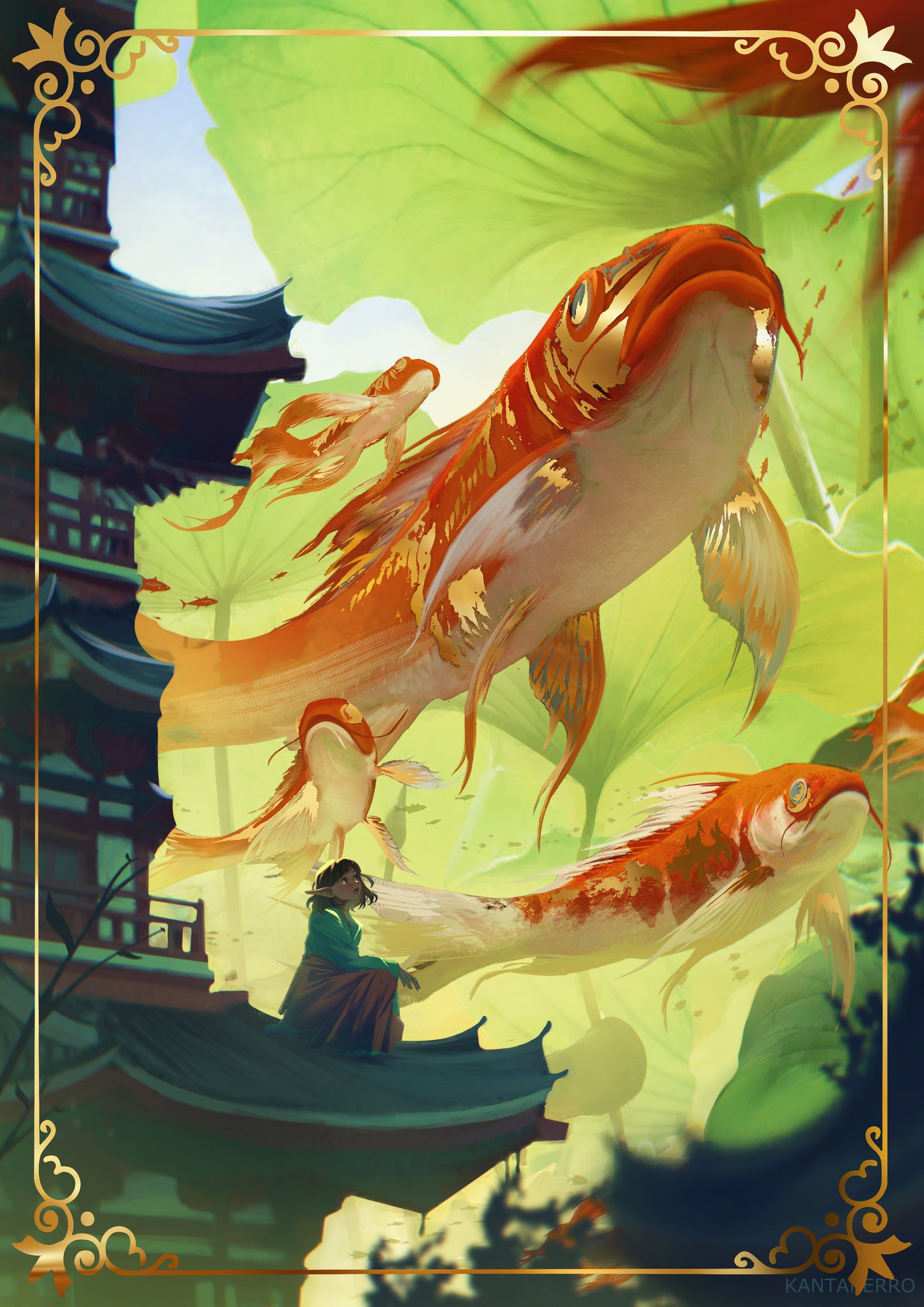 Koi